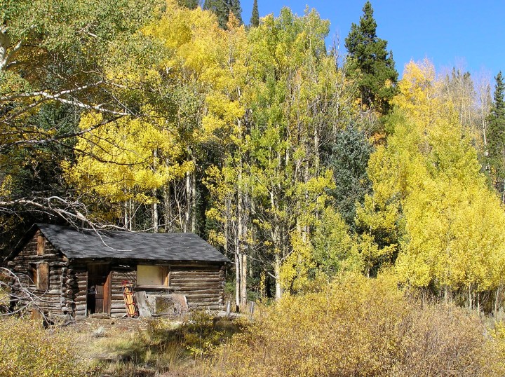 Cabin - Autumn -Breckenridge