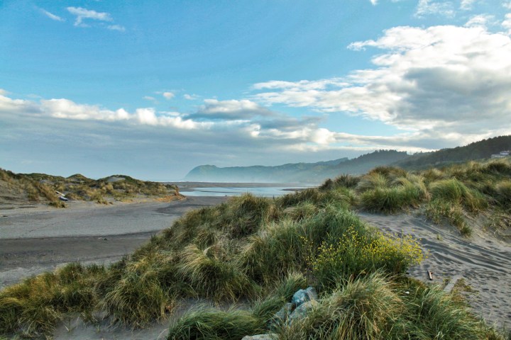 Oregon Coast 2