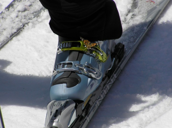 Monarch On Ski Boot